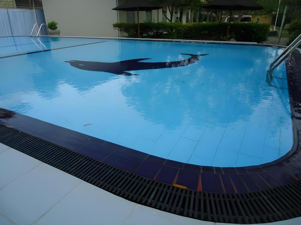 5000m2 7 slaapkamer, 7 privé badkamer in Yala Tissamaharama Buitenkant foto