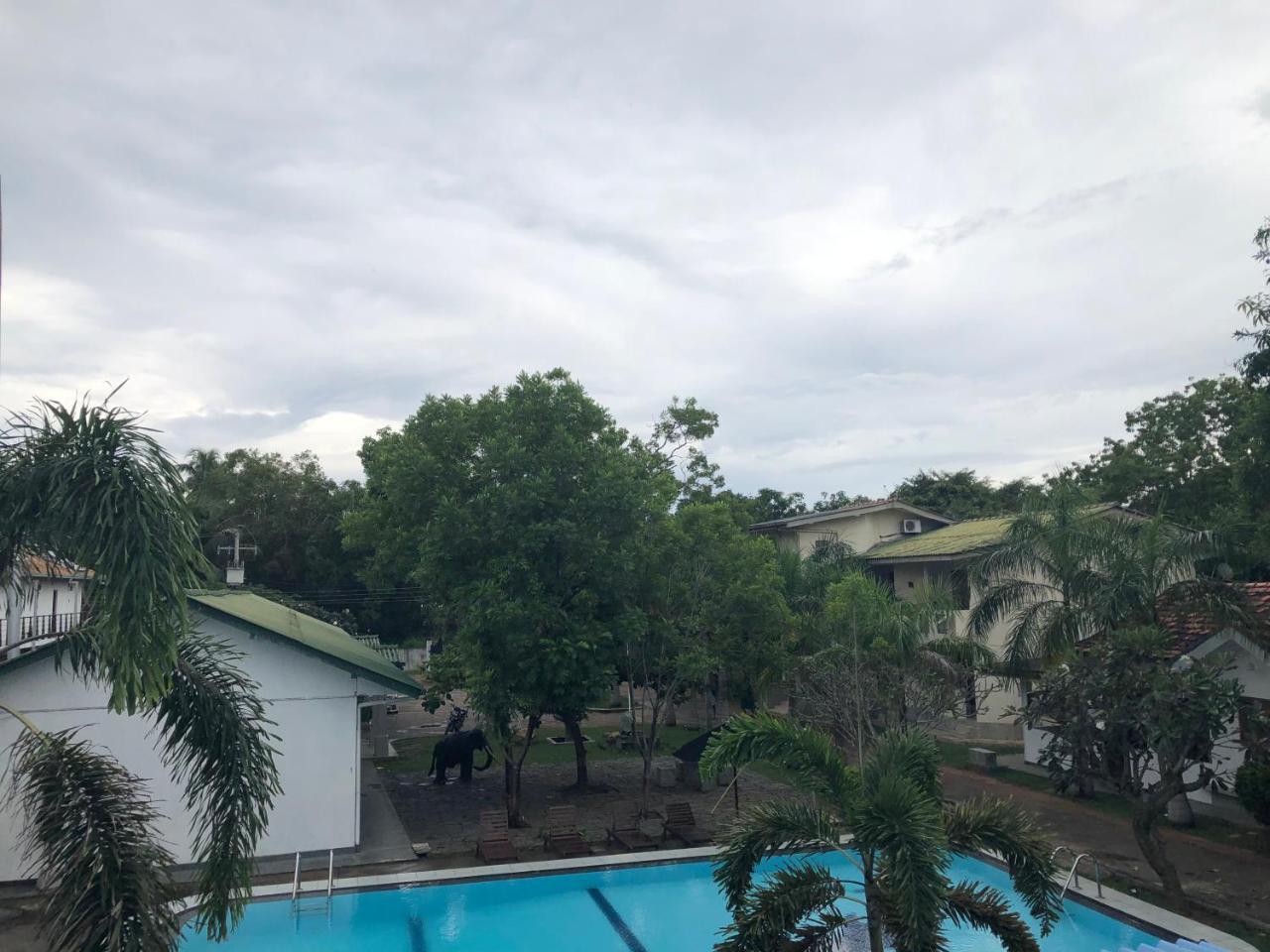 5000m2 7 slaapkamer, 7 privé badkamer in Yala Tissamaharama Buitenkant foto